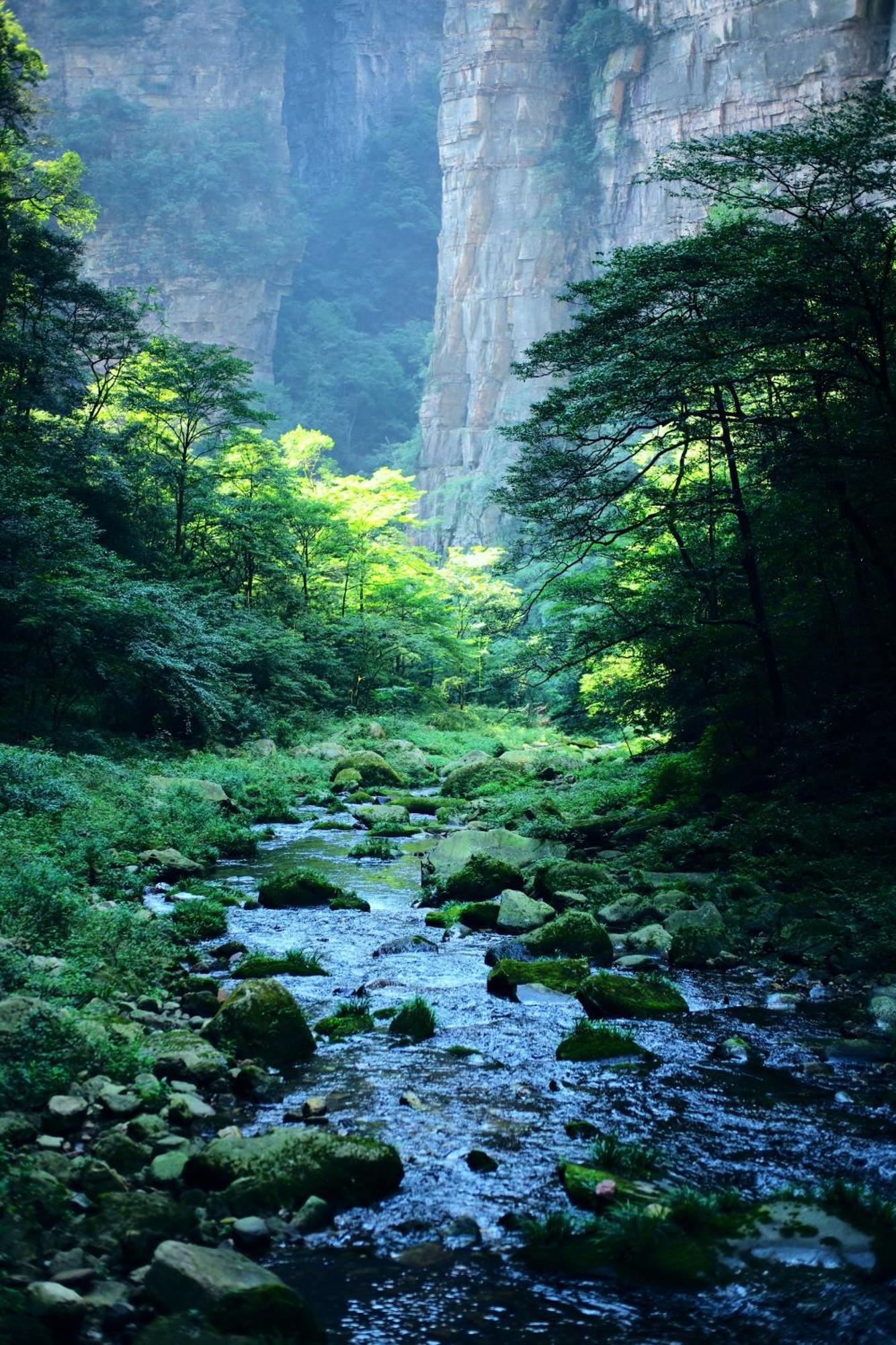 Zhangjiajie Forest Park Youth Hostel Exterior foto